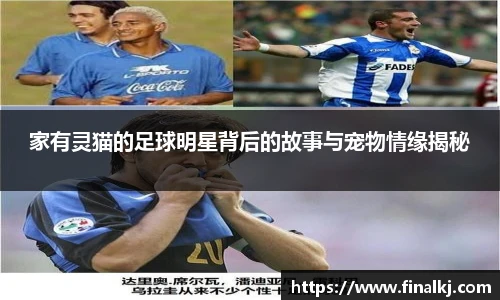 奇异果体育官网入口