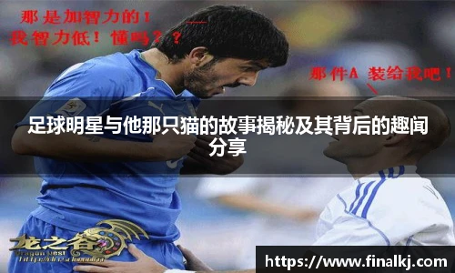 足球明星与他那只猫的故事揭秘及其背后的趣闻分享